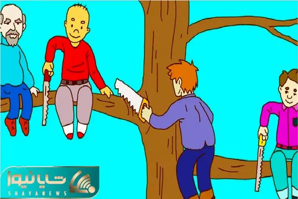 who is the biggest fool?