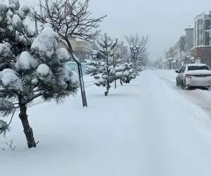 هشدار هواشناسی برای تشدید بارش‌ها دوشنبه ۸ بهمن/این ۱۰ استان منتظر برف و کاهش دما