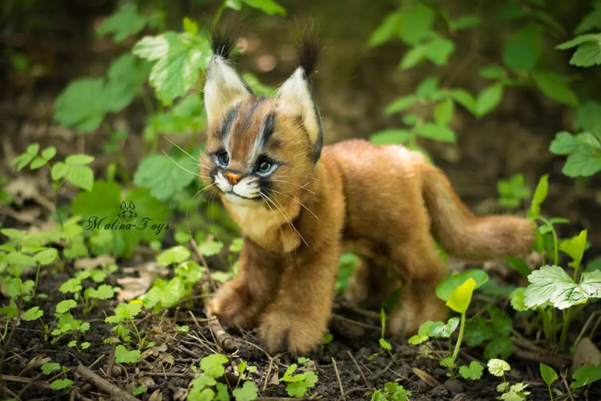 sold___handmade_poseable_toy_caracal_kitten_by_malinatoys_da06b7p-fullview