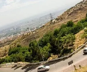 خارهایی که به چشم زیباسازی کوهسار فرو می‌رود!