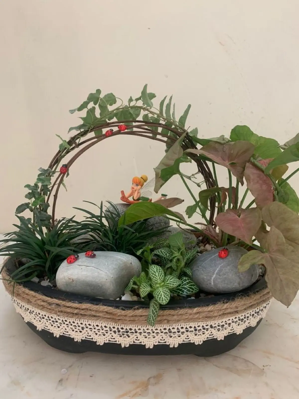 دیش گاردن خوشگل