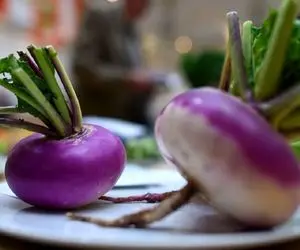 اینو بخونی منبعد به شلغم بیشتر احترام می ذاری