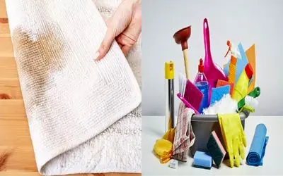 در 5 دقیقه لکه هندوانه و چای را از روی فرش محو کن/ شگرد حرفه ایارو یاد بگیر