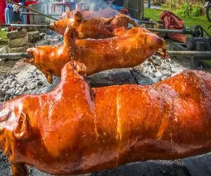 کباب خوک؛ خوک حرومی صورتی و دست و پا بسته به صلیب کشیدن بریونی شه