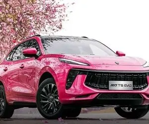 عرضه لاماری و نیم میلیارد سود که نصیب خریداران شد