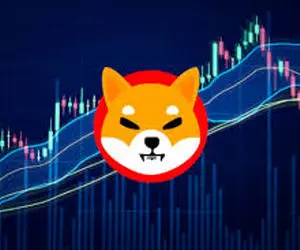 خبرای توپ برای کاربران شیبااینو..!