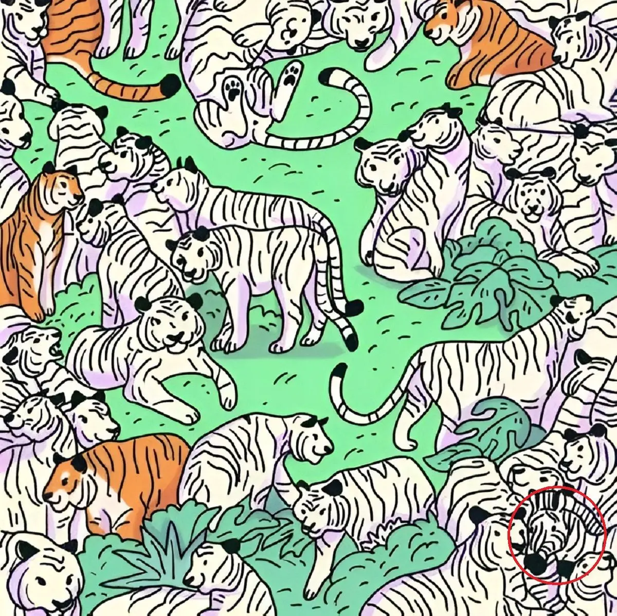 پاسخ-تست-بینایی-یافتن-گورخر-میان-ببر-ها