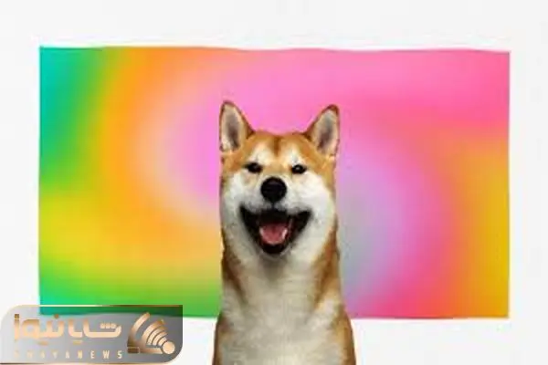 Shiba Inu