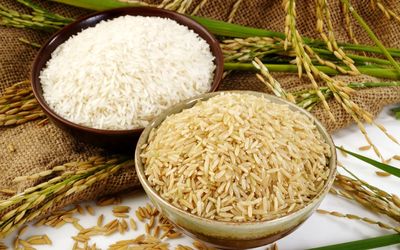 قیمت برنج افزایش یافت! / علت افزایش قیمت برنج