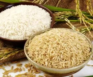 قیمت برنج افزایش یافت! / علت افزایش قیمت برنج