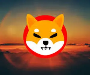 پیش بینی مهم از قیمت شیبااینو!!