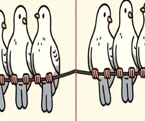 بازی فکری؛ 3 اشتباه تصویرو تو یه نیم نگاه بگی تا عمر داری آلزایمر نمیگیری