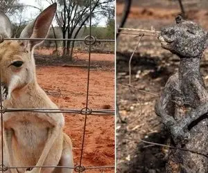 (ویدئو) لحظات جگرسوزی که حیوانات دچار برق گرفتگی شدن!