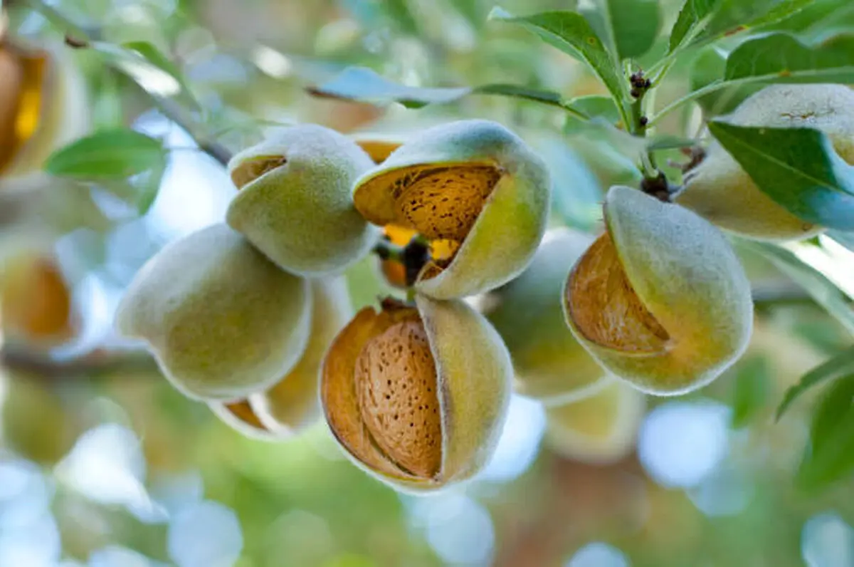 images_1668511684