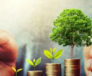 بهترین سرمایه گذاری اقتصادی در ایران چیست؟ 