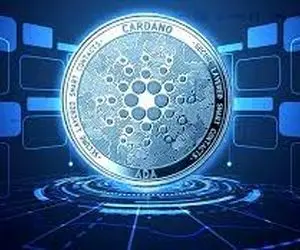 کاردانو برنده این دوره شد؟