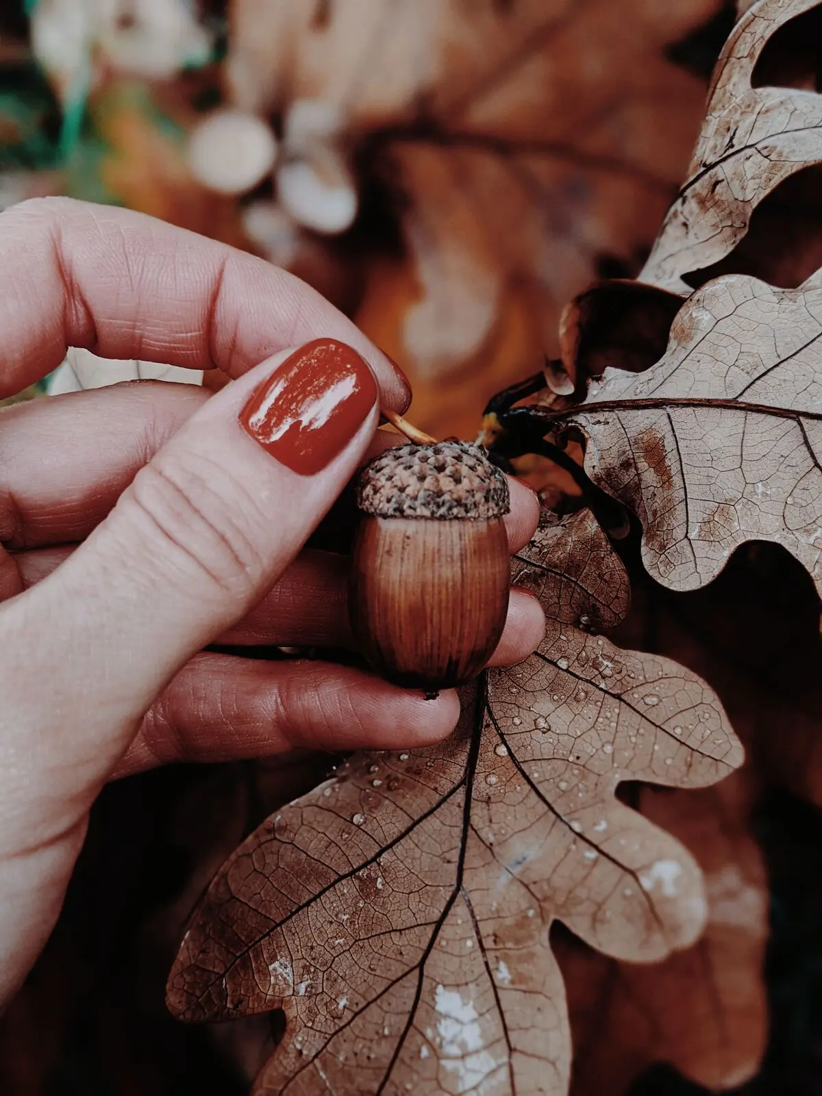 pexels-valeriiamiller-5579057