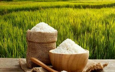 قیمت انواع برنج 10 کیلویی امروز سه شنبه 7 اردیبهشت 1400
