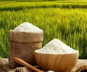 قیمت انواع برنج 10 کیلویی امروز سه شنبه 7 اردیبهشت 1400