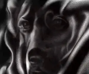 تست روانشناسی تصویری؛ بگو تو تصویر چی چی دیدی تا شفاااف ویژگی هاتو نمایان کنم!