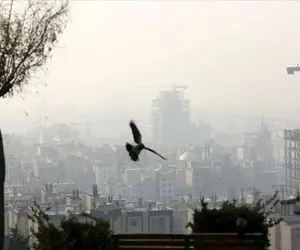 هوای تهران برای گروه‌های حساس ناسالم شد