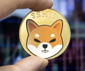 اقدامی جدید از شیبااینو!!