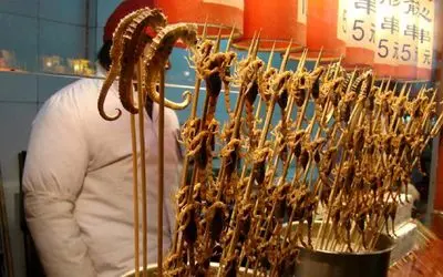 غذای خیابانی؛ مشمئز کننده ترین غذا ها از این چرت و پرت ها درست میشه زنده زنده میپزن