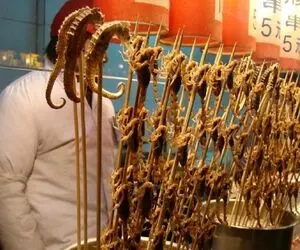 غذای خیابانی؛ مشمئز کننده ترین غذا ها از این چرت و پرت ها درست میشه زنده زنده میپزن