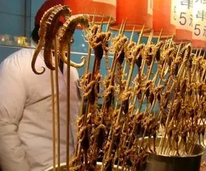 غذای خیابانی؛ مشمئز کننده ترین غذا ها از این چرت و پرت ها درست میشه زنده زنده میپزن