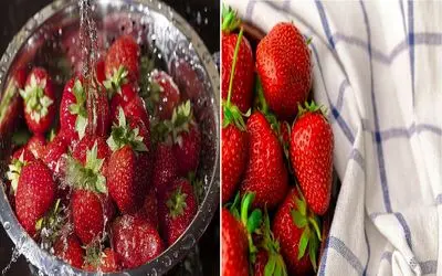 روش های شستن درست توت فرنگی/ یه عمر از این کرم های کوچولو غافل بودیم