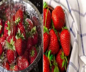 روش های شستن درست توت فرنگی/ یه عمر از این کرم های کوچولو غافل بودیم