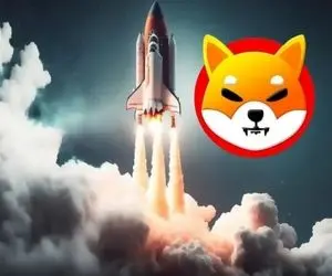 در چه صورت شیبااینو به اوج می رسد؟