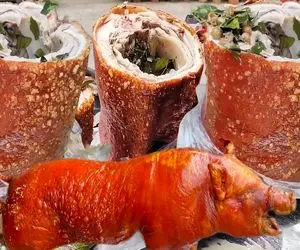 کباب خوک؛ پشمای خوک حرومی کریه المنظر رو کز داد گردن زد درسته با سس قارچ بریونی کرد