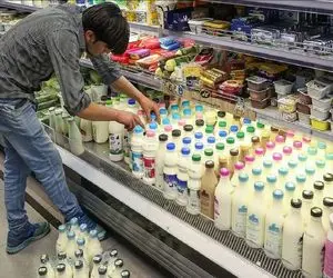 ابهام در قیمت‌گذاری لبنیات پس از اعلام نرخ جدید شیرخام