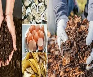 ساخت کود کمپوست با برگ های پاییزی؛ فرمول کودای زباله ای که هزینه شون صفره تاثیرشون صد