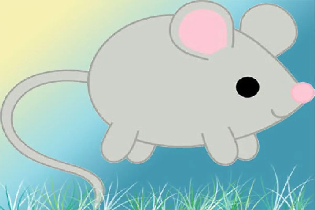 555