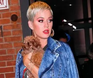 جنجال بزرگ کیتی پری با گیاه خوار کردن سگ خانگی!