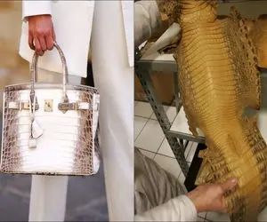 فرآوری تمساح؛ با داس پوست تمساح 114 متری و صاف جدا میکنن کیف 250 دلاری میسازن