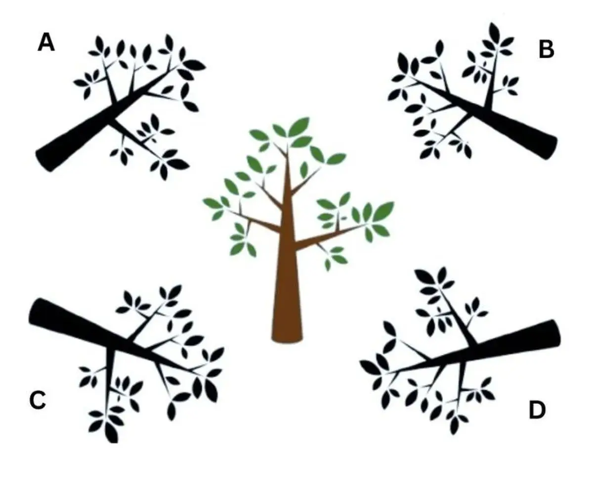 Josh-Folder-(23)-1765866274571