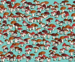 هوش تصویری؛ تو که بمب هوشی ببینم میتونی زیر یک دقیقه موش رو تو این عکس پیدا کنی یا نه!