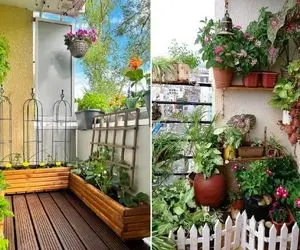 گیاهان آپارتمانی بالکنی / هوای خنکِ شبای بهاری با بوی این گلا و یه چایی کنارش چی بشه