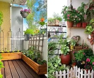 گیاهان آپارتمانی بالکنی / هوای خنکِ شبای بهاری با بوی این گلا و یه چایی کنارش چی بشه
