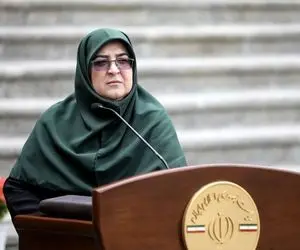 سخنگوی دولت درباره اینترنت پرو چه گفت؟