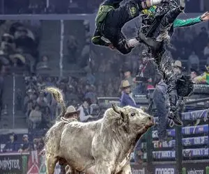 تاخت و تاز خونین؛ گاو قسی ددمنشانه گاوچرون مسلول رو به هوا پرت کرد خود د فرار