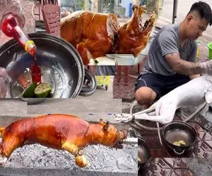 کباب سگ؛ کت بسته سگ نازنازی بعد کارواش و مزه دار کردن به صلابه کشید کباب شه