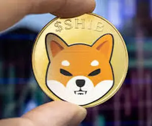 زندگی جدید شیببااینو چیست؟!