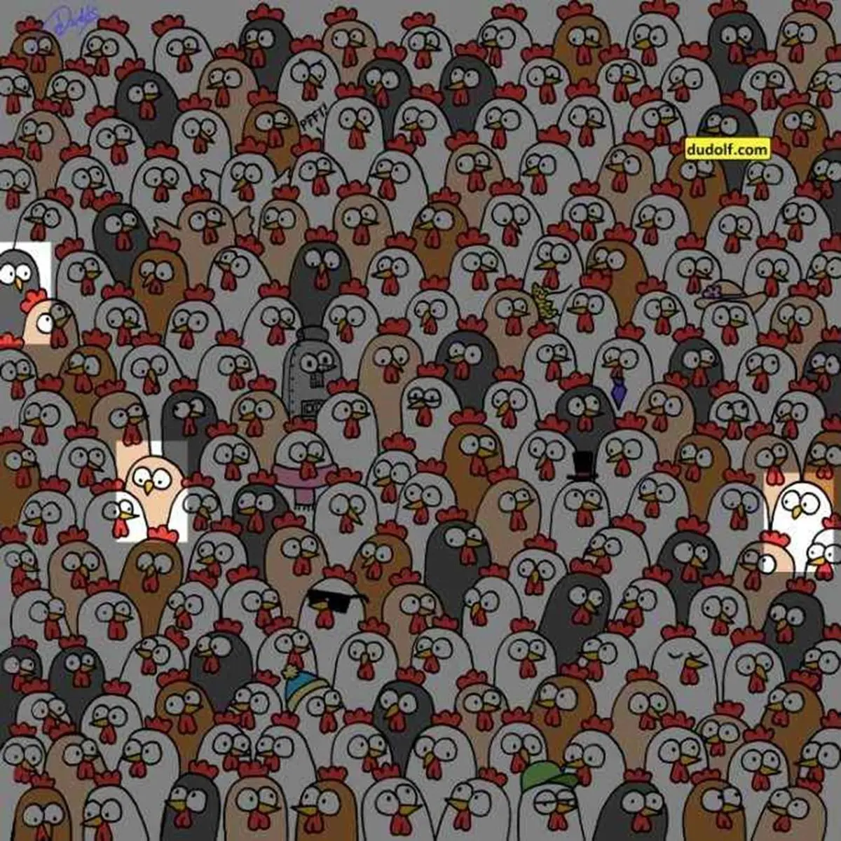 ارزیابی-قدرت-دید-با-شناسایی-جغدها-2