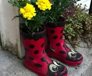 ابلهانه های جذاب؛ ساخت گلدان فوق العاده زیبا با چکمه های پلاستیکی و سیمان