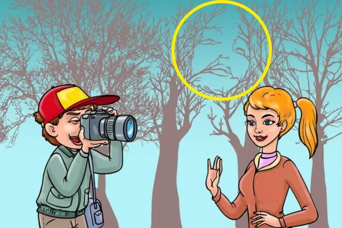 find missing person in woods solution