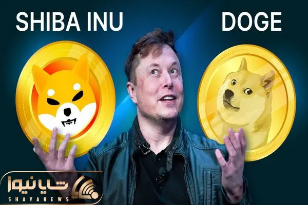 Dogecoin